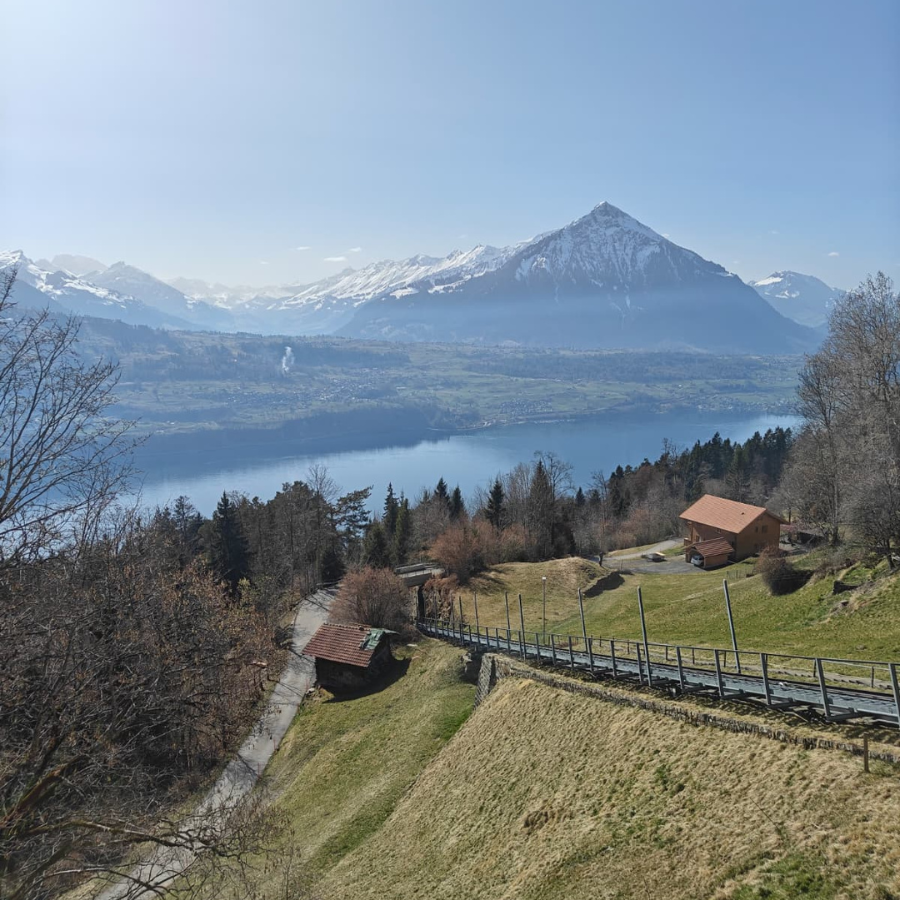 Niesen ab Beatenberg